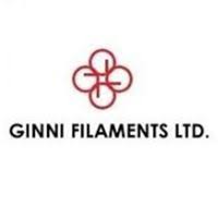 Ginni Filaments Ltd