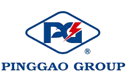 Pinggao Group Co. Ltd